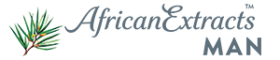 logo webv4
